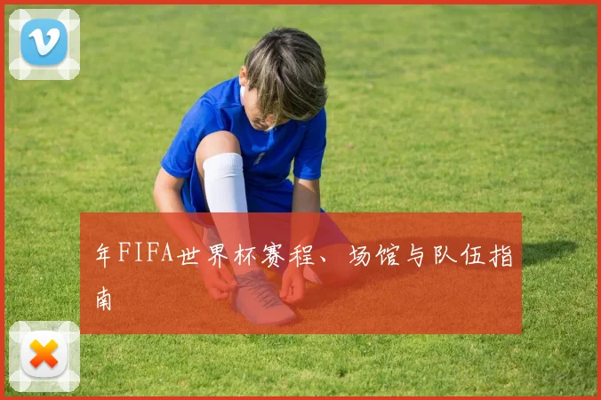 年FIFA世界杯赛程、场馆与队伍指南